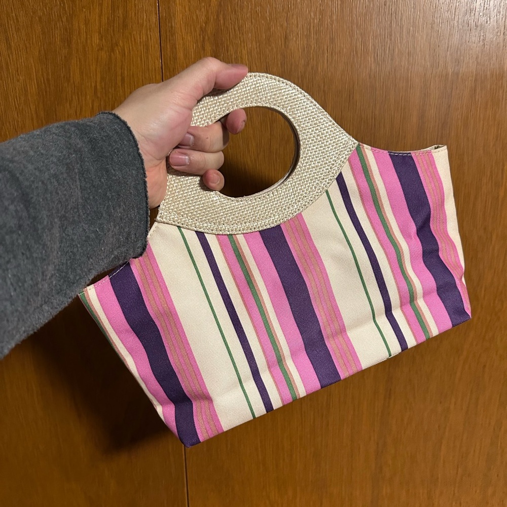 Striped Pink and Purple Women's Hand bag